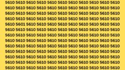 Only Quick Thinkers Can Find 5601 Hidden Among 5610s