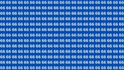 6-Second Visual Test: Spot the Numbers 96 and 69 Among 66s