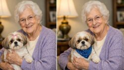 8 Second Visual Challenge Test Sharp Eyes by Spotting Differences Between Grandma and Dog