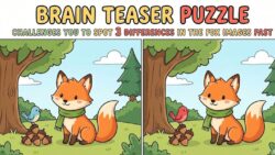 Brain Teaser Puzzle Challenges You to Spot 3 Differences in the Fox Images Fast