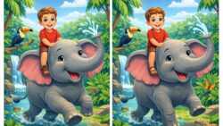 Only Sharp Eyes Can Find the 3 Differences in These Boy Riding an Elephant Images