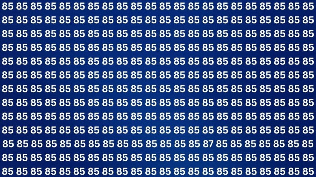 Optical Illusion Challenge